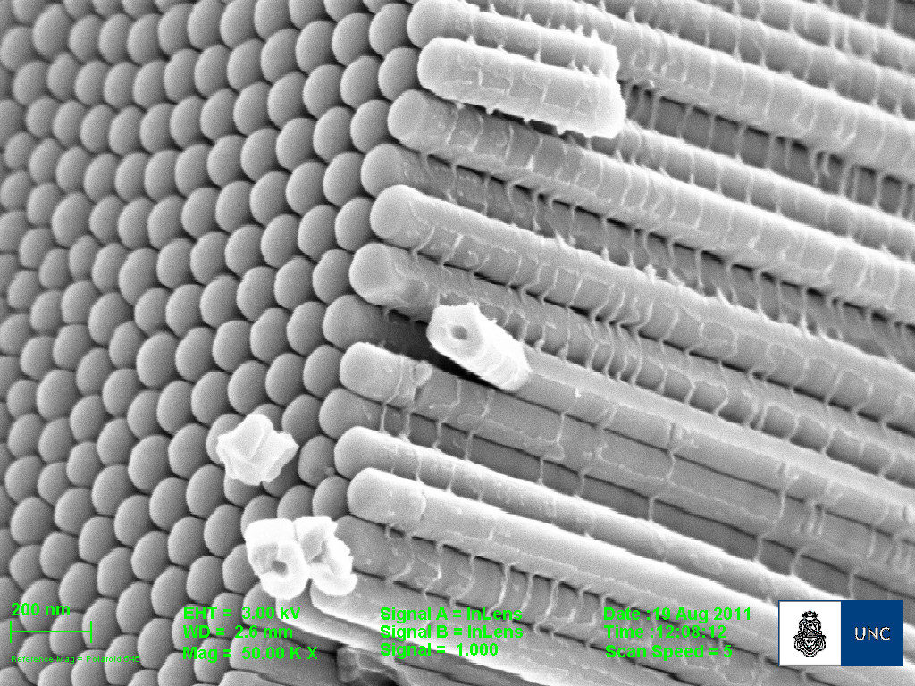 Imagen de Nano tubos de TiO2