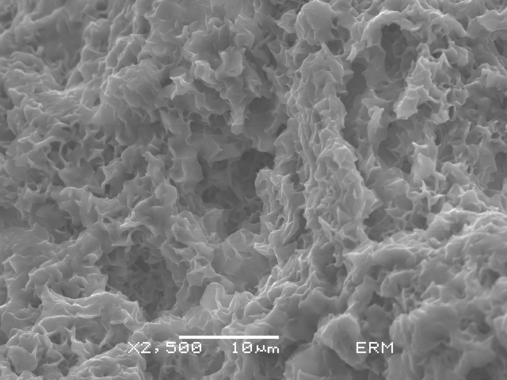 Coatings de esmectita en areniscas del Grupo Neuquén. SEM-Secundarios. CPEM.